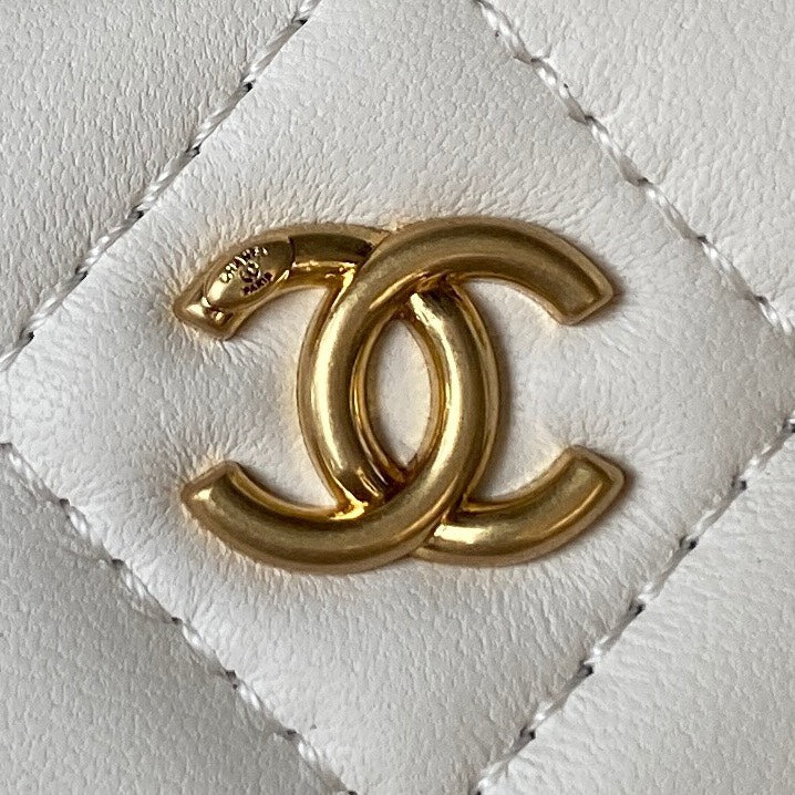 SMALL VANITY CASE 17 IN WHITE CALFSKIN GOLD HARDWARE